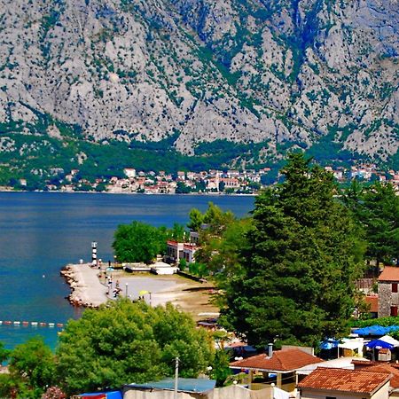 Apartments Scorpio Kotor Exterior photo
