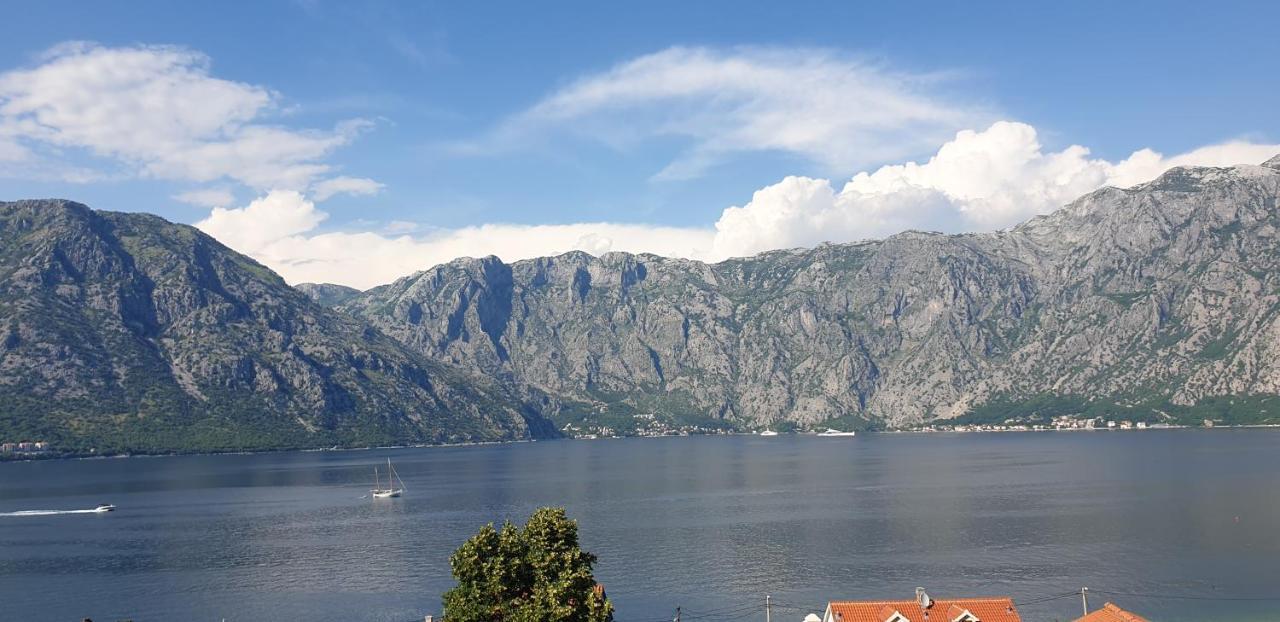 Apartments Scorpio Kotor Exterior photo