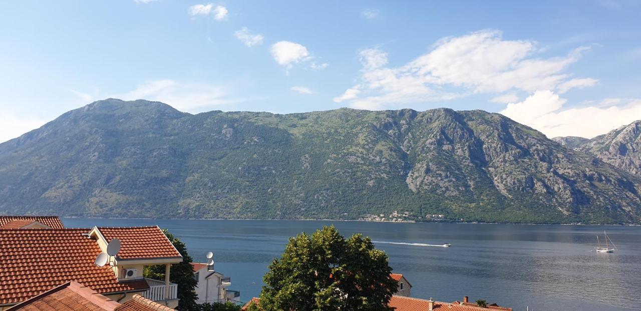 Apartments Scorpio Kotor Exterior photo