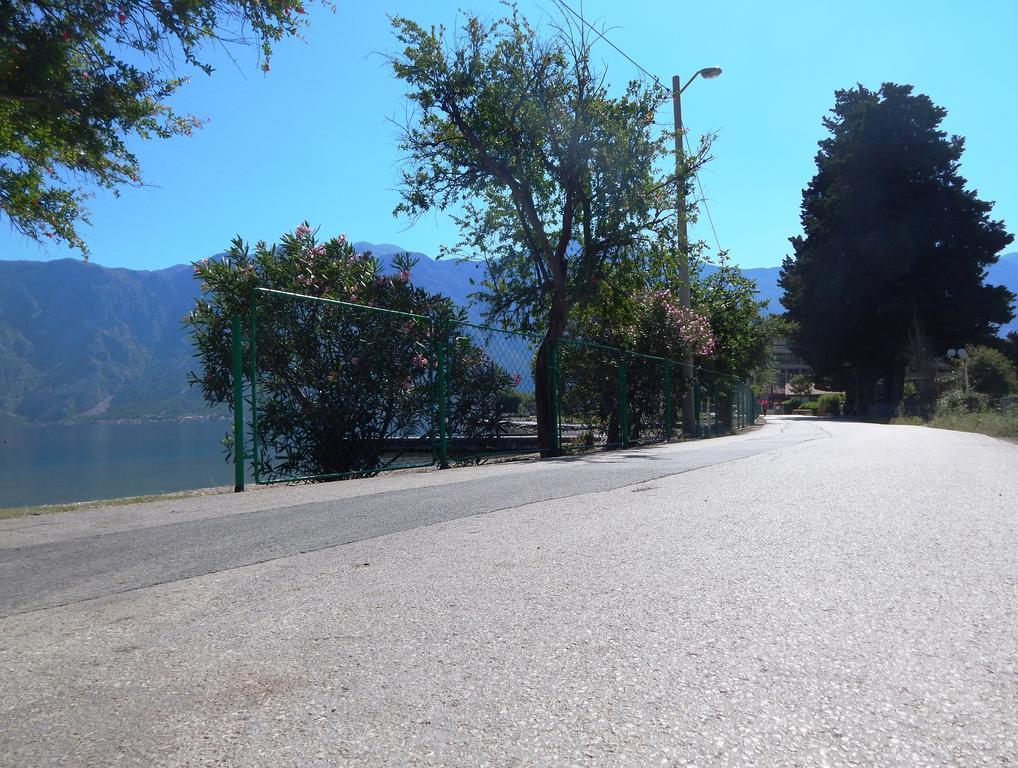 Apartments Scorpio Kotor Exterior photo