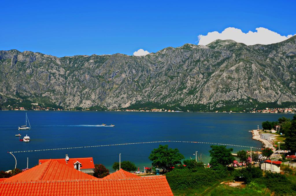 Apartments Scorpio Kotor Room photo